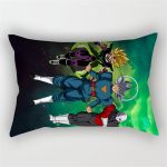 Dragon Ball Z Kissen Goku Broly Kopfkissen